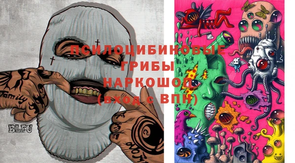 первитин Богородицк