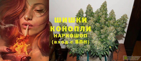 первитин Богородицк