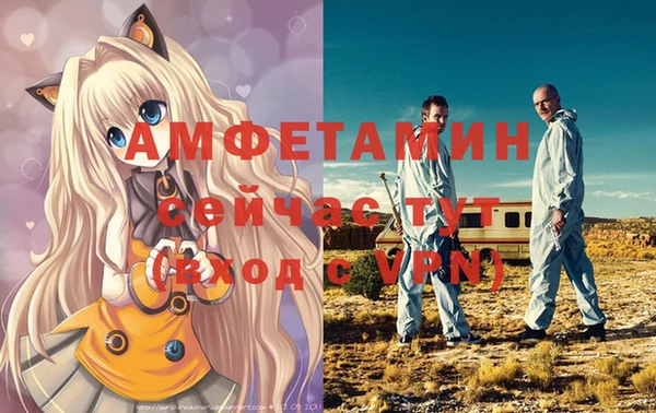 прущий лед Бородино
