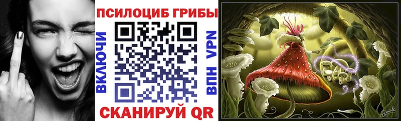 купить наркоту blacksprut как зайти Псилоцибиновые грибы GOLDEN TEACHER Межгорье